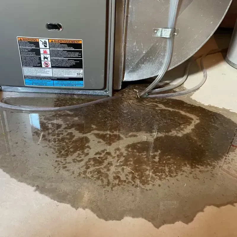 Appliance Leak Cleanup in Somers, MT